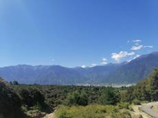 205ba29813884837a551e588138fbc8